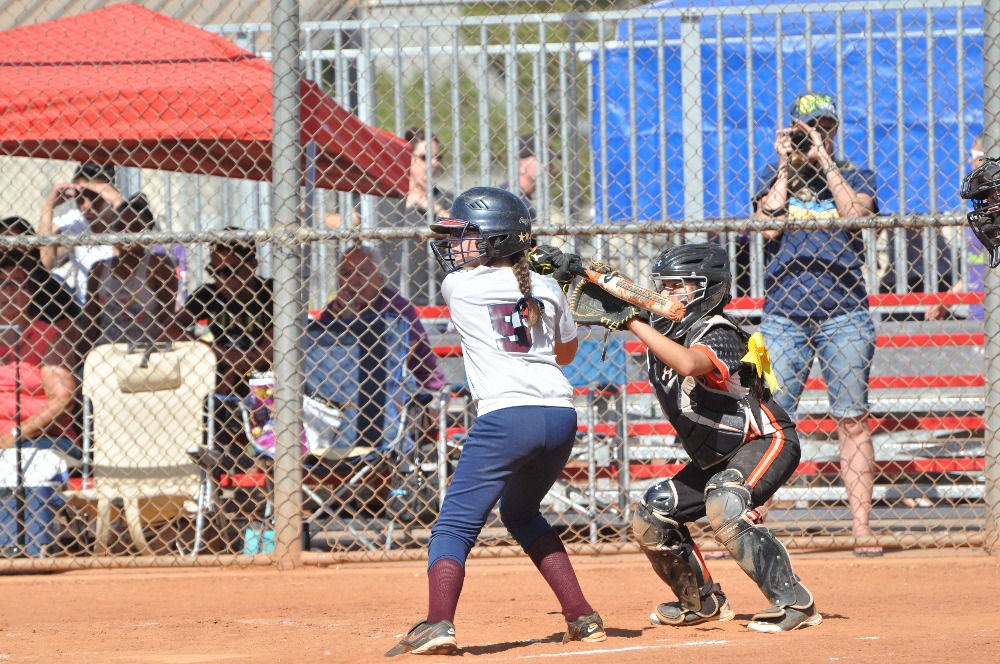 10U Henderson Girls Softball Association by jasmine Delchambre GoFundMe