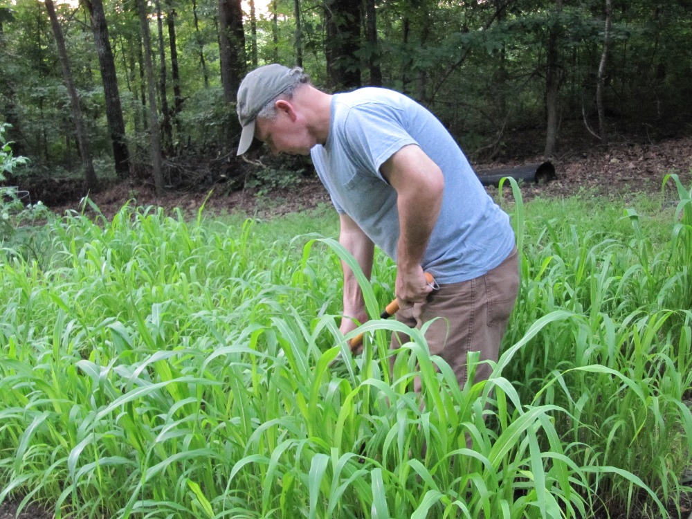Fundraiser by Jones Jr Broommaking Traditions Documentary Film